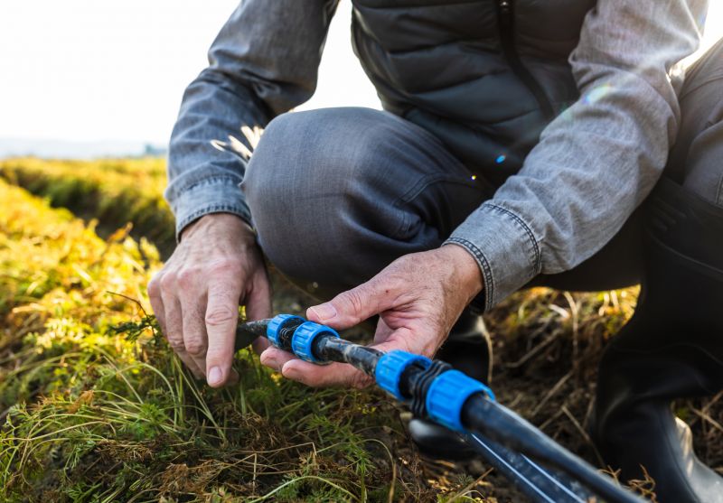 Garden Irrigation Installation in Ventura County, CA