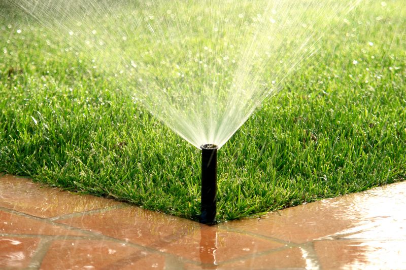 Sprinkler System Service