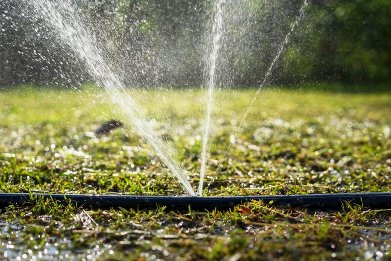 Sprinkler System Service