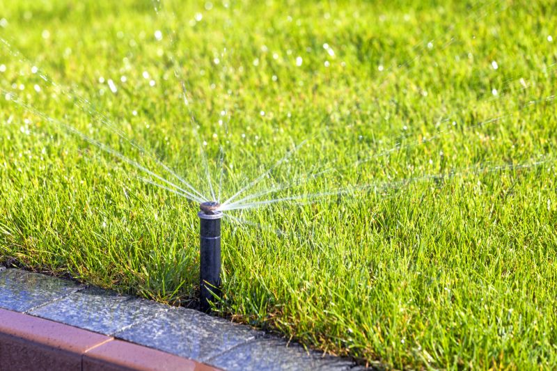 Sprinkler System Service
