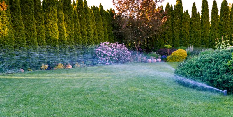 Sprinkler System Service