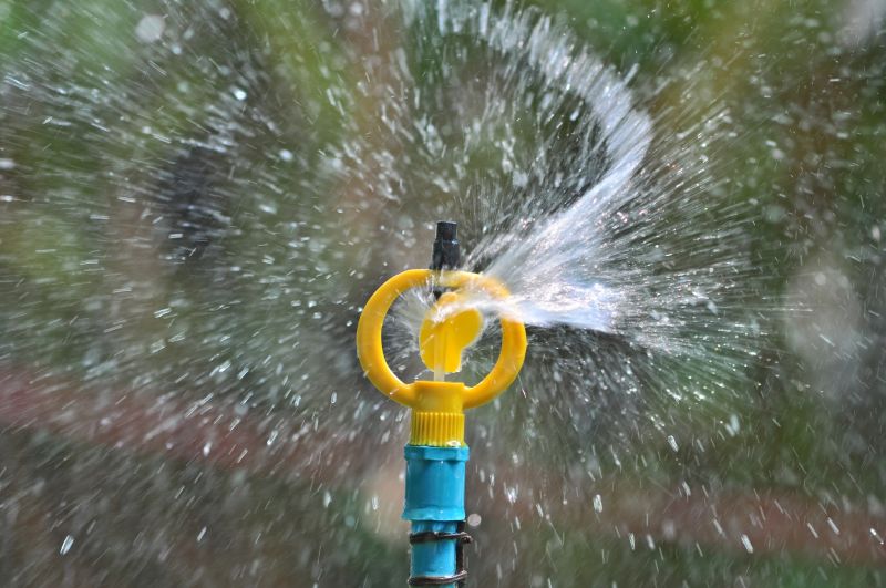 Sprinkler System Service