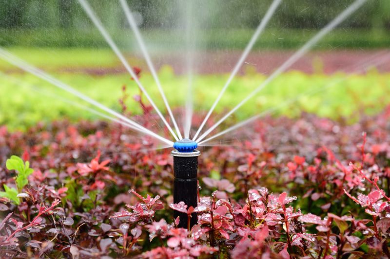 Sprinkler System Service