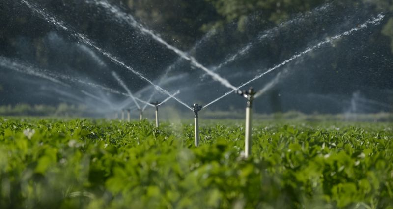 Licensed Irrigation Technicians