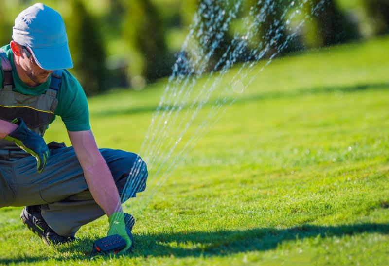 Specialized Sprinkler Service Providers